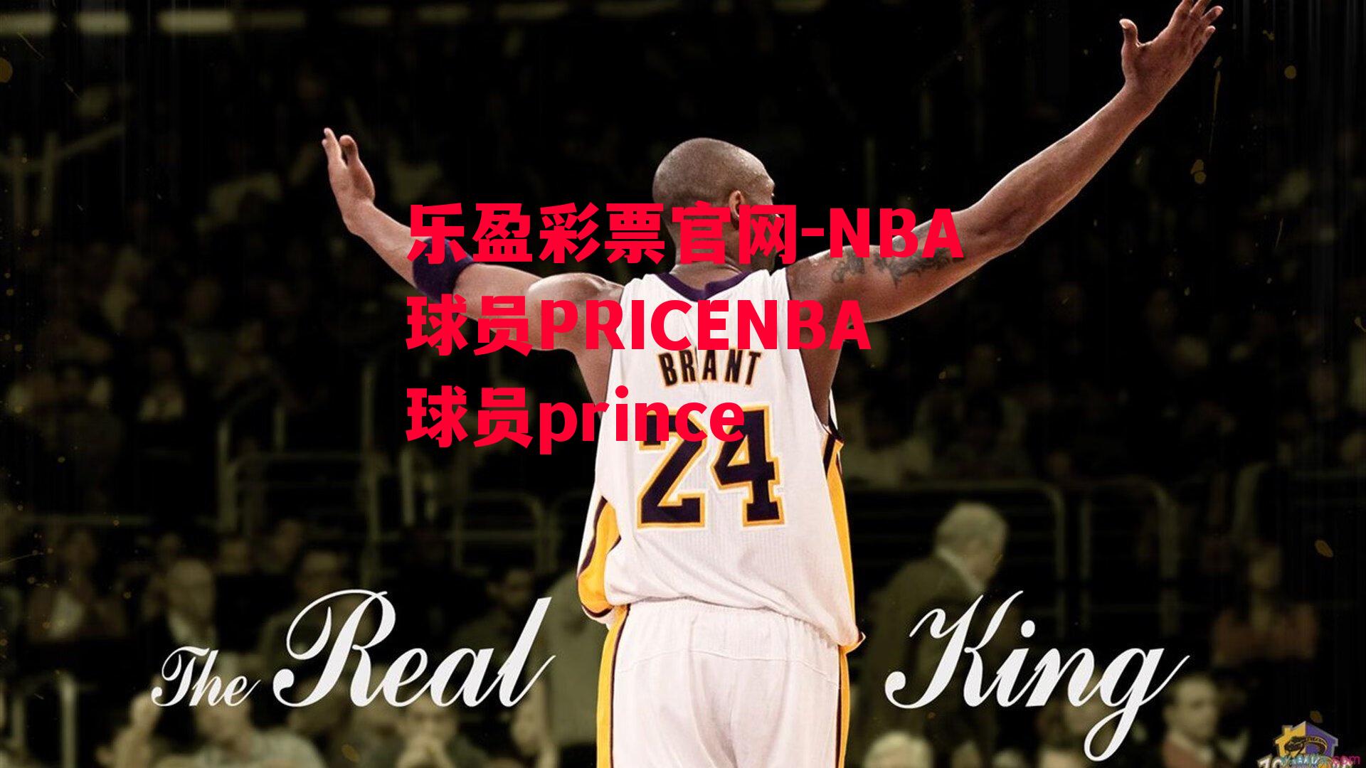 NBA球员PRICENBA球员prince